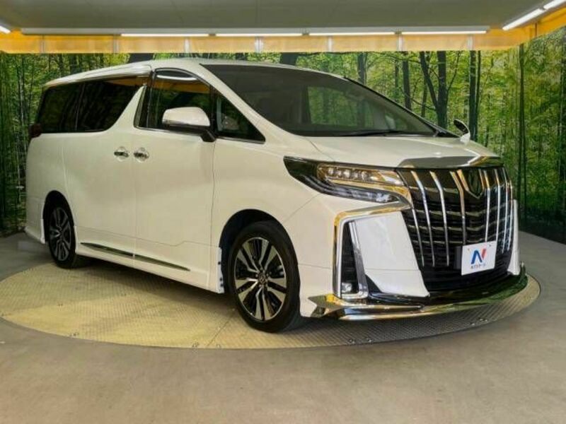 ALPHARD-17