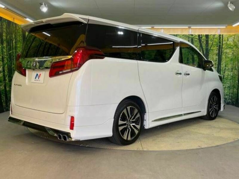 ALPHARD-18