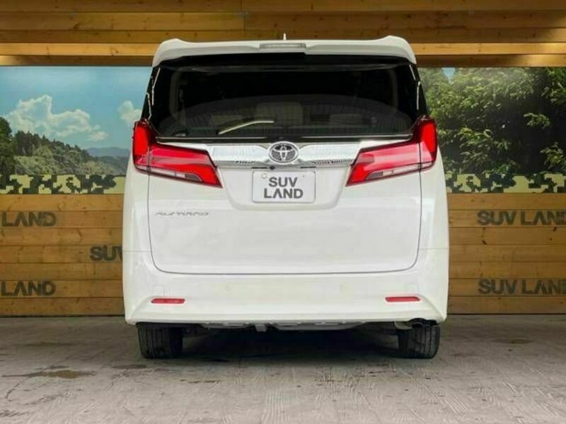 ALPHARD-15