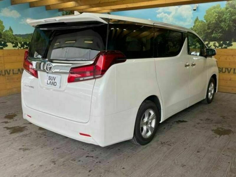 ALPHARD-17