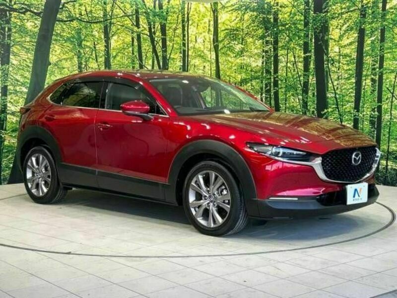 CX-30-16