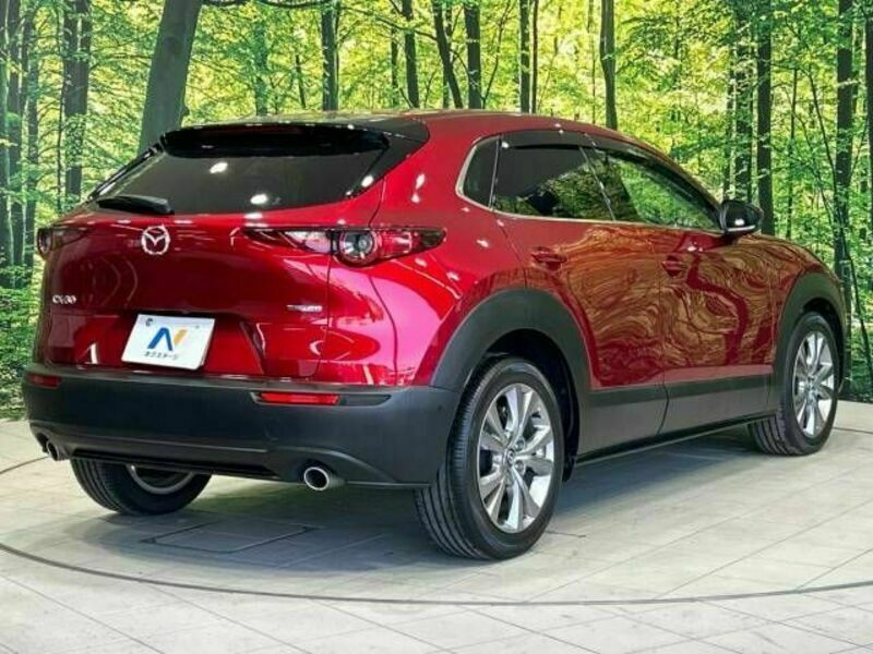 CX-30-17