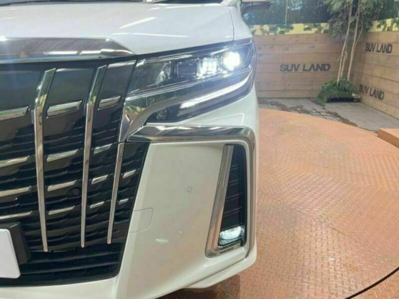 ALPHARD-11