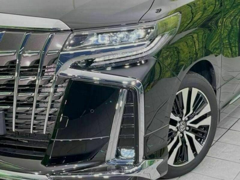 ALPHARD-13