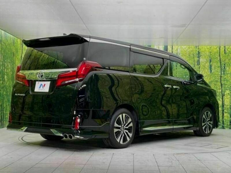 ALPHARD-18