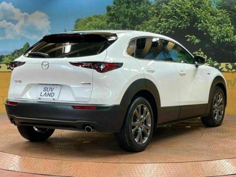 CX-30-17