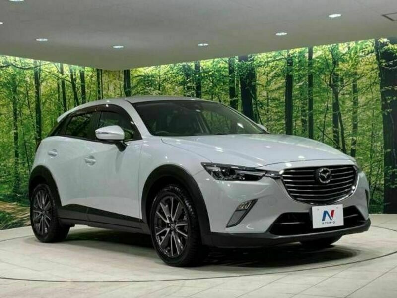 CX-3-16