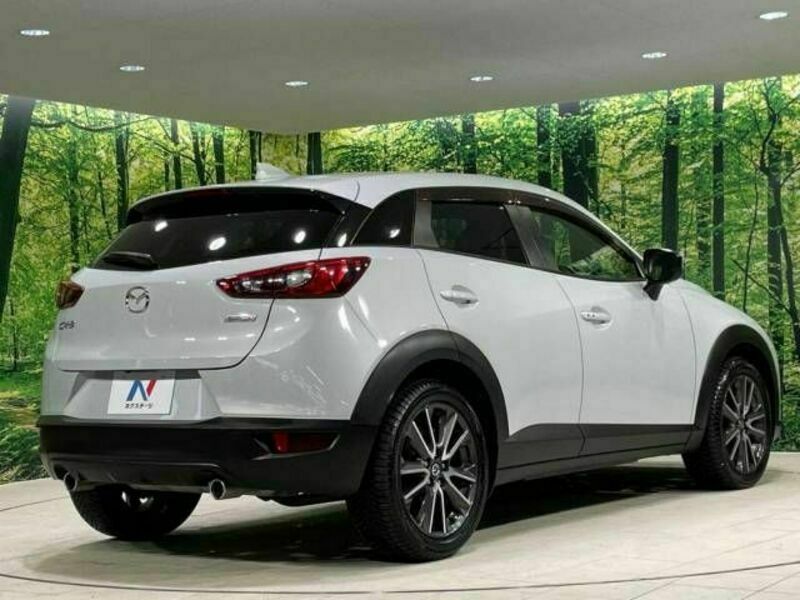 CX-3-17