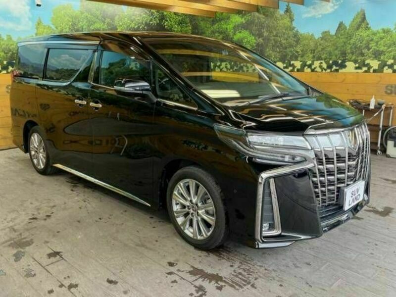 ALPHARD-16