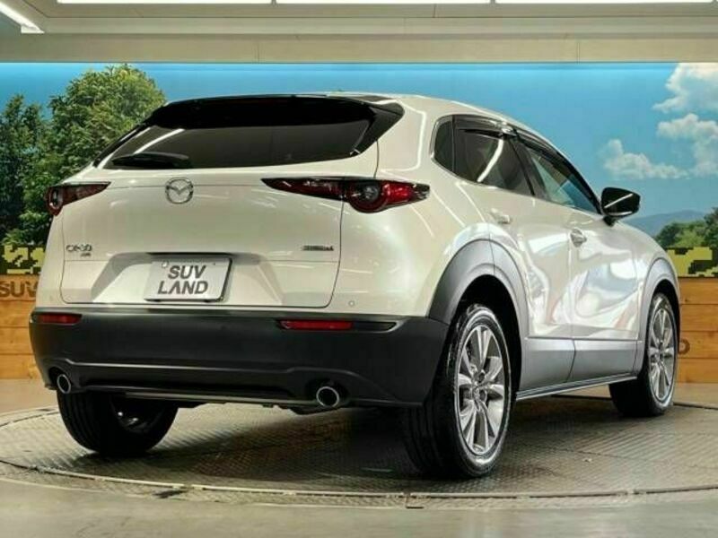 CX-30-17