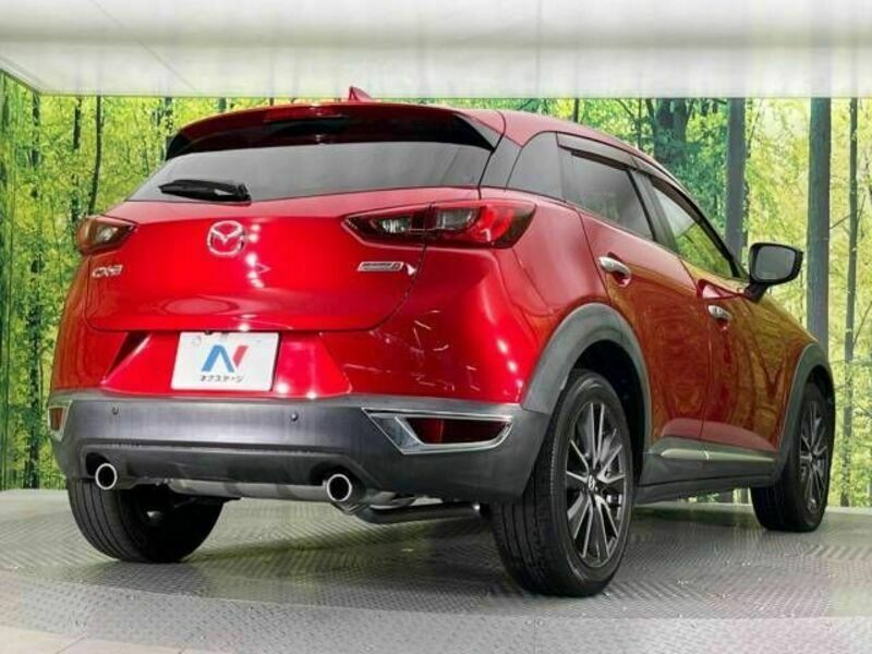 CX-3-17