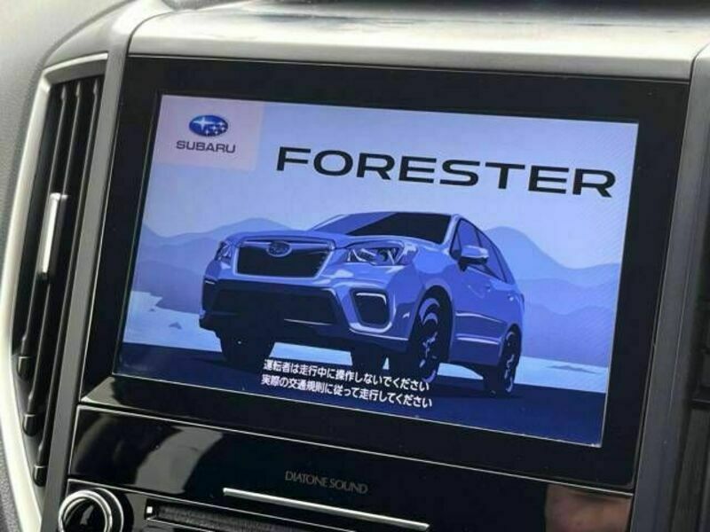 FORESTER-7