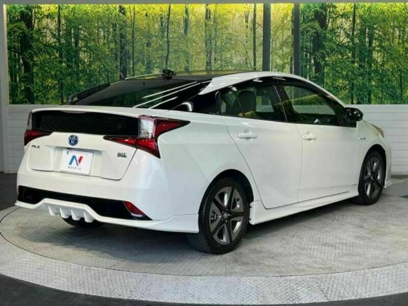 PRIUS-17