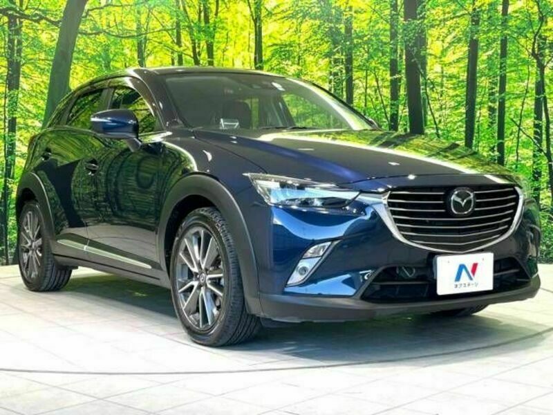 CX-3-16