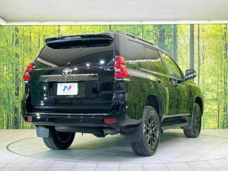 LAND CRUISER PRADO-18