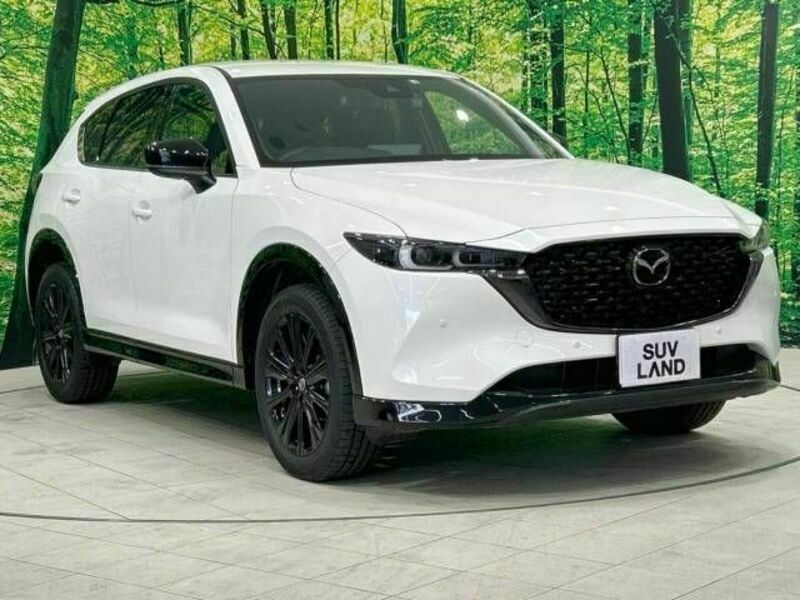 CX-5-17