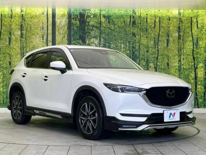 CX-5-17