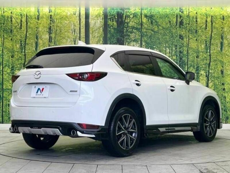 CX-5-18