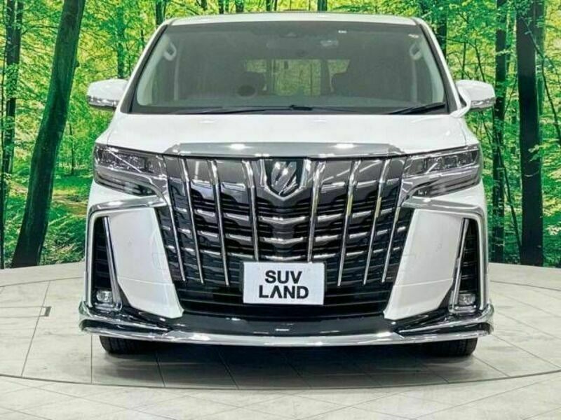 ALPHARD-15