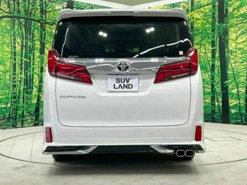 ALPHARD-16