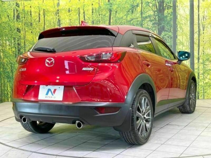 CX-3-17