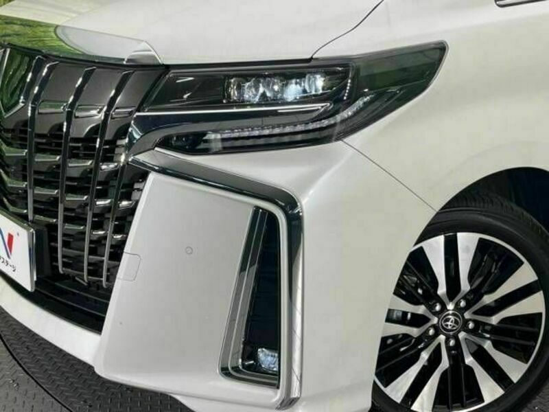 ALPHARD-13