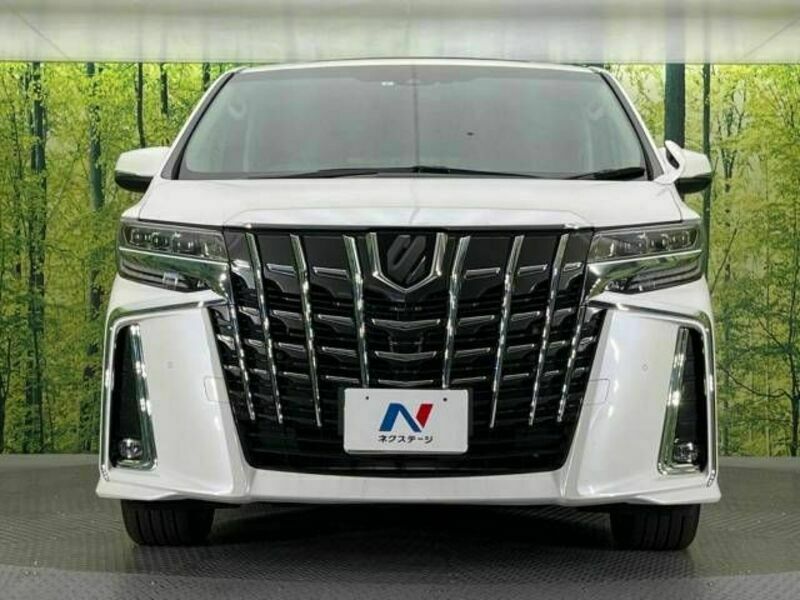 ALPHARD-15