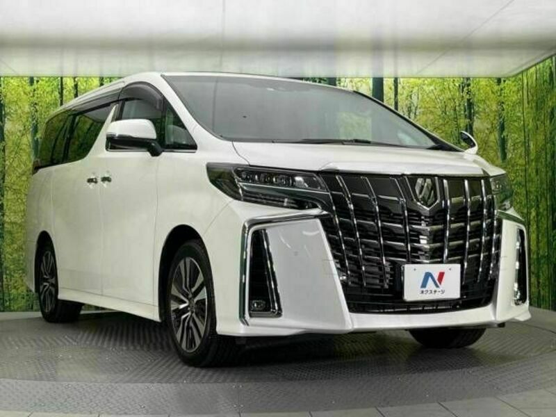 ALPHARD-17