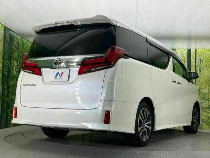 ALPHARD-18