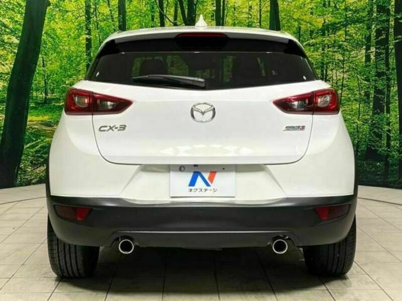 CX-3-15