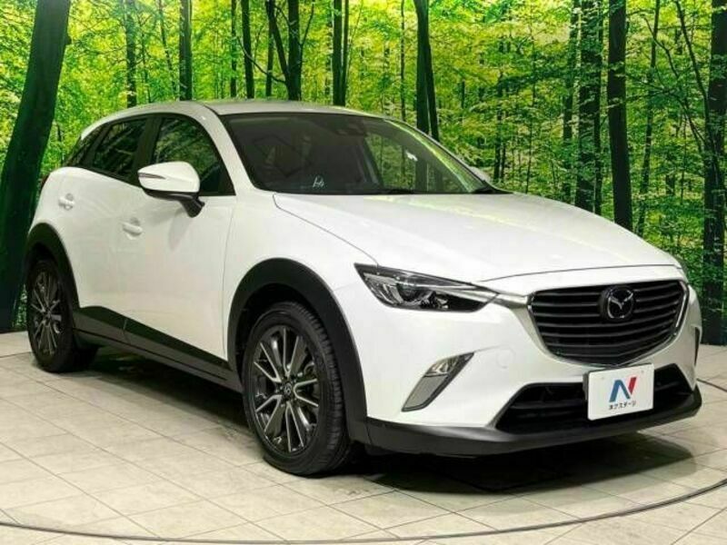 CX-3-16