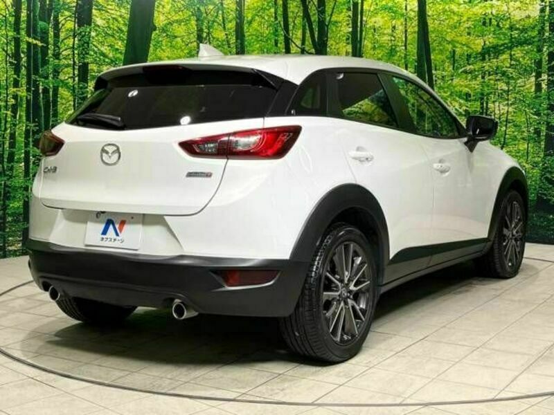 CX-3-17