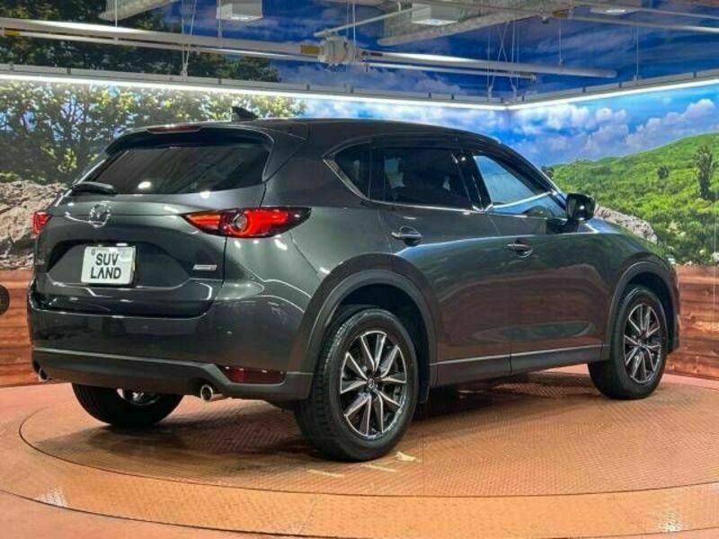 CX-5-17