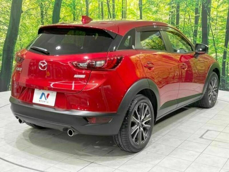 CX-3-17