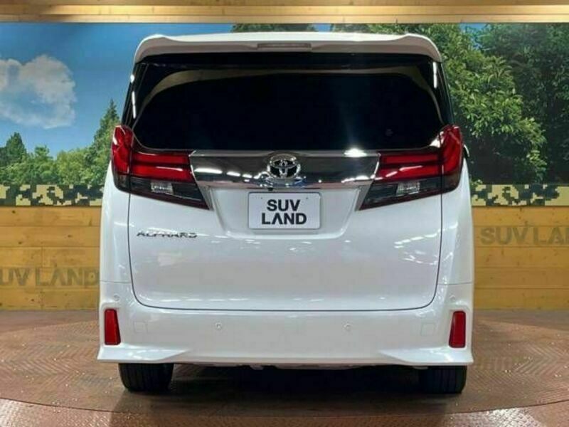 ALPHARD-16