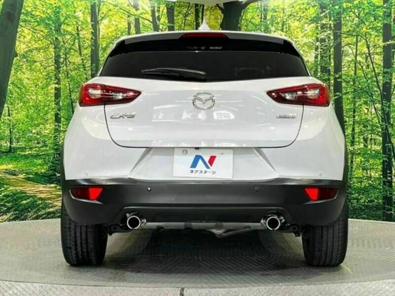 CX-3-15