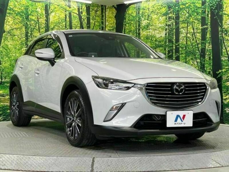 CX-3-16