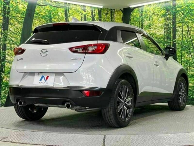 CX-3-17