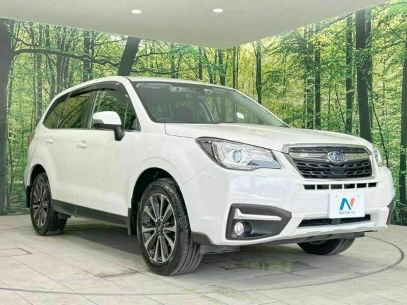 FORESTER-16