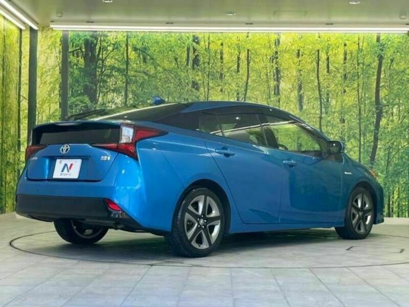 PRIUS-19