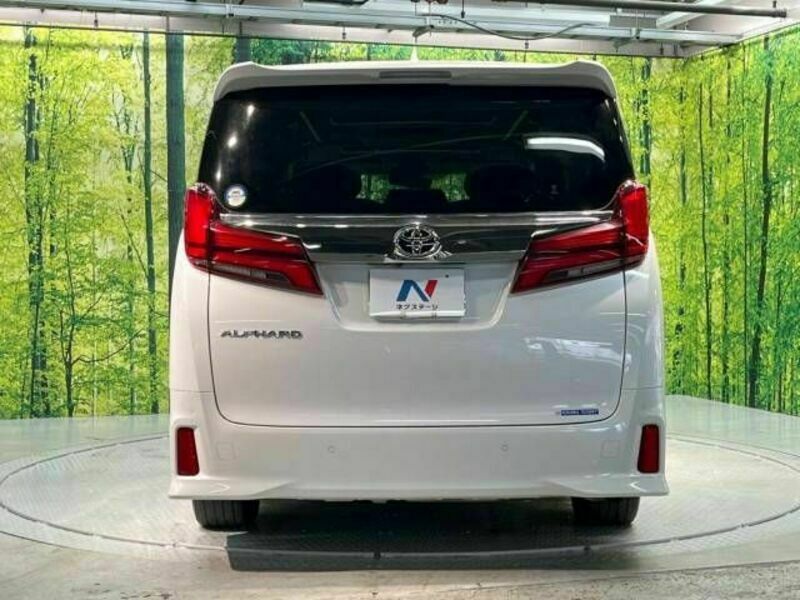 ALPHARD-16