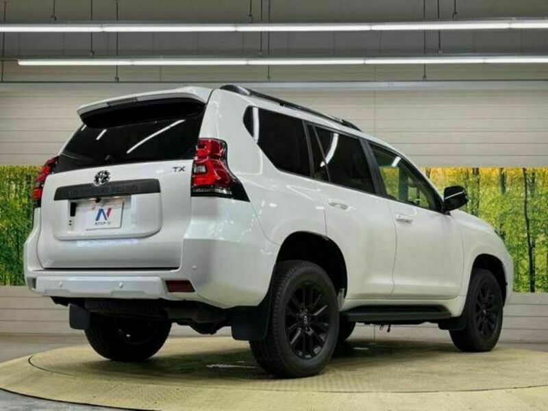 LAND CRUISER PRADO-18