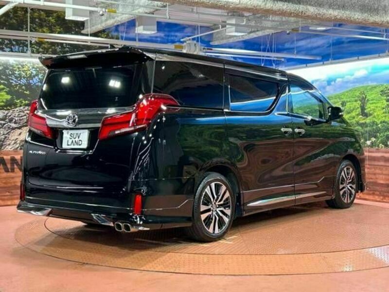 ALPHARD-17