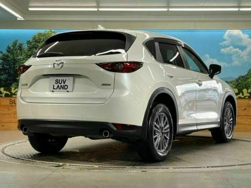 CX-5-17