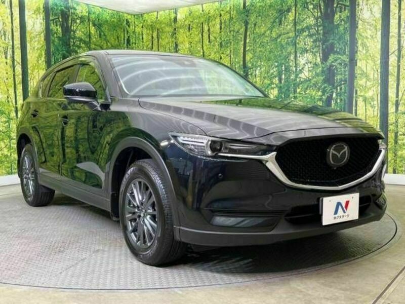 CX-5-16