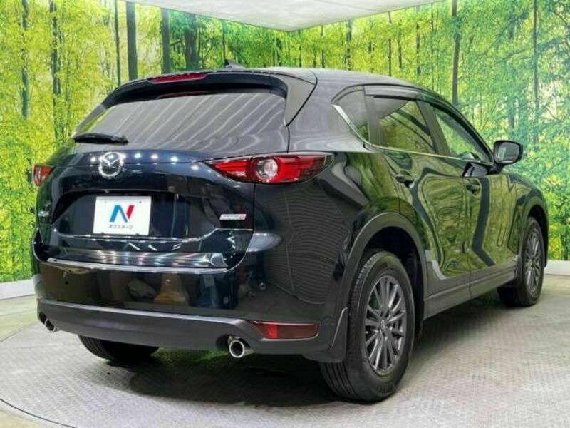 CX-5-17