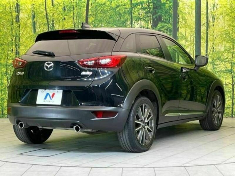 CX-3-15