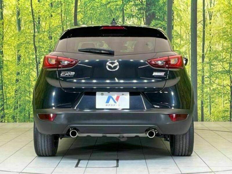 CX-3-17