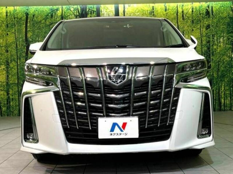 ALPHARD-14