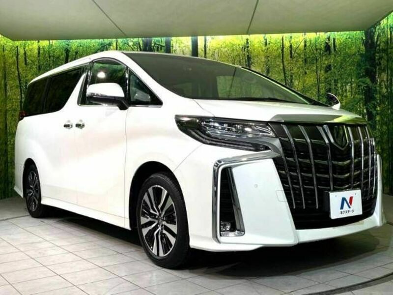 ALPHARD-16